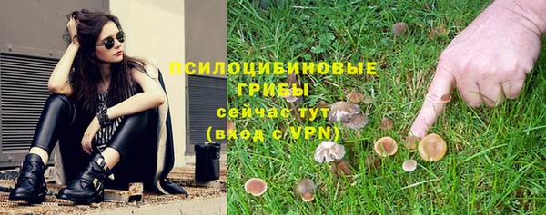 спиды Белоозёрский