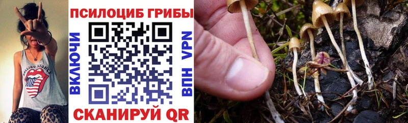 Псилоцибиновые грибы ЛСД  Нижний Новгород 