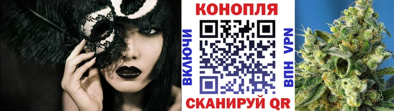 наркошоп Нижний Новгород Канабис планчик